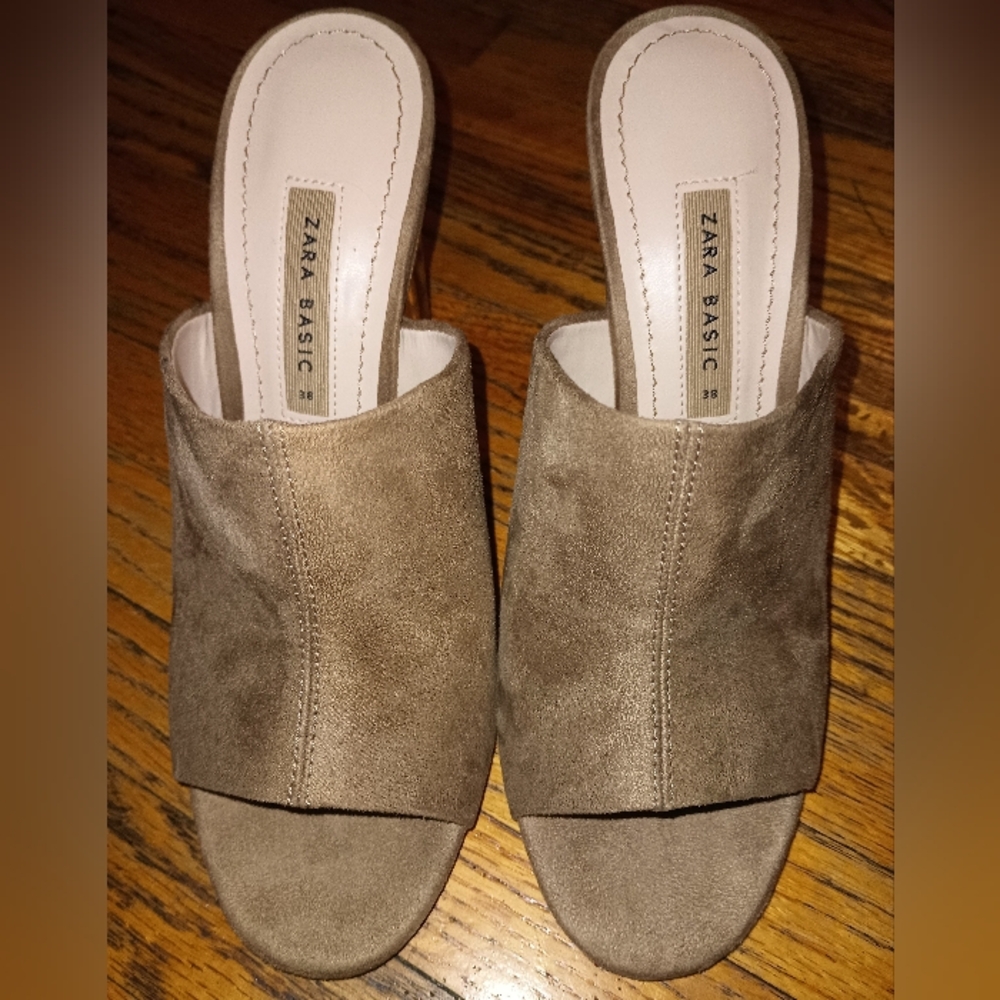ZARA Basic clear chunky heel